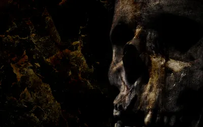 Dark Skull Black-dark Black/Dark Wallpaper 4K 1680x1050 Dark, Skull, Hd, Desktop, Wallpaper, Background, Image, Gray, Black, Brown, Ultrawide
