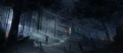 Dark Dark Wallpaper Games Wallpaper 4K 6000x2600 Dark, Forest, Scene, Featuring, Lara, Croft, The, Woman, Warrior, Tomb, Raider, 2013, Gray, Ultrawide, 4K