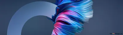 Abstract Digital Art Wallpaper 4K, Abstract category