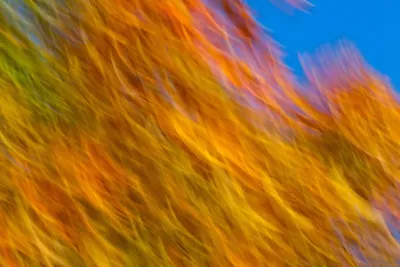 Cgi Psychedelic Abstract Sweeping Orange Wallpaper 4K, Abstract category