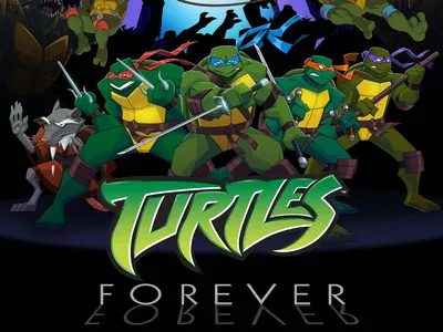 Vibrant Characters Turtles Wallpaper 4K, Abstract category