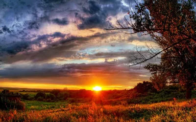Vivid Vibrant Wallpaper Wallpaper 4K, Nature category