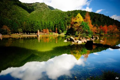 Misty Serene Wallpaper Nature Wallpaper 4K 2048x1363 A, Serene, Nature, Scene, Featuring, Vibrant, Trees, Reflecting, Calm, Lake, Surrounded, Lush, White, Ultrawide, Full HD