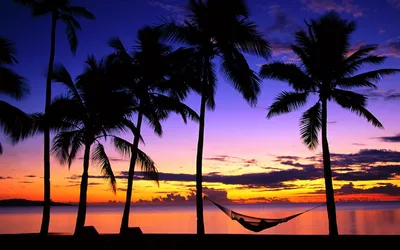 Radiant Early Wallpaper Nature Wallpaper 4K 1920x1200 Early, Morning, Sunrise, In, The, Tropics, White, Pink, Ultrawide, Full HD