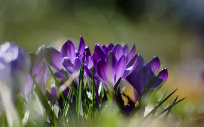 General Wallpaper 2880x1800 Nature Wallpaper 4K 2880x1800 Gray, Ultrawide, QHD
