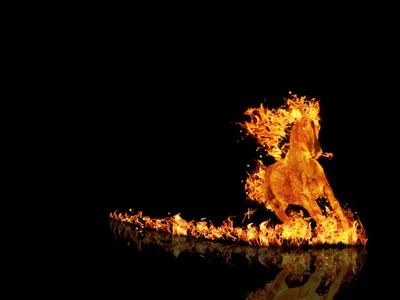 Misty Artistic Wallpaper Animals Wallpaper 4K 1920x1440 Artistic, Hd, Pc, Desktop, Wallpaper:, Depicting, A, Fiery, Horse, Galloping, Flames, Blazing, Orange, Landscape, Full HD
