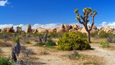 General Wallpaper 2560x1440 Nature Wallpaper 4K 2560x1440 Ultrawide, QHD