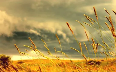 General Wallpaper 1920x1200 Nature Wallpaper 4K 1920x1200 Full HD, Ultrawide