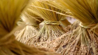 Close Bundled Golden Nature Wallpaper 4K 1920x1080 Full HD, Ultrawide