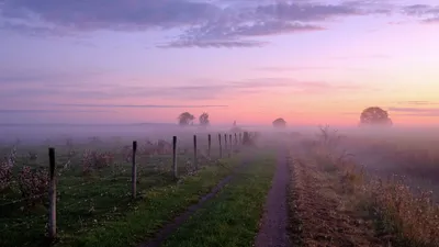 Misty Serene Wallpaper Nature Wallpaper 4K 2048x1152 A, Serene, Hd, Desktop, Wallpaper, Featuring, Fog-covered, Dirt, Road, Sunrise, Soft, Pastel, Gray, Ultrawide, Full HD