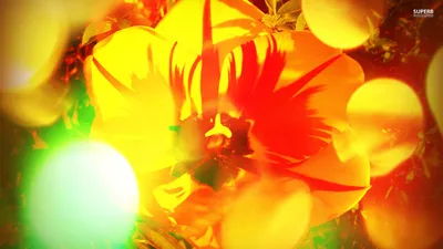 Anime Wallpaper 1920x1080 Abstract Wallpaper 4K 1920x1080 Full HD, Ultrawide
