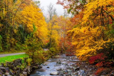 Autumn Forest Nature Nature Wallpaper 4K 2048x1365 Road, By, Autumn, Forest, White, Ultrawide, Full HD