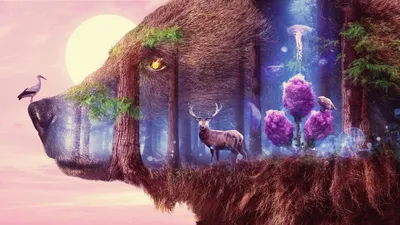 Fantasy Bear Forest Inside Including Nature Wallpaper 4K 2560x1440 Fantasy, Hd, Wallpaper:, Featuring, A, Bear, With, Forest, Scene, Inside, Including, Stork, White, Ultrawide, QHD
