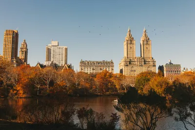 Central Park New York World Wallpaper 4K 5051x3362 Hd, Wallpaper, Of, Central, Park, In, New, York, City, During, Fall, Featuring, Gray, Ultrawide, 4K