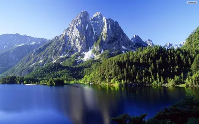 Bright Mountain Wallpaper Nature Wallpaper 4K 1920x1200 Gray