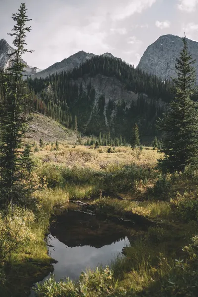 Mountain Landscape Photos Nature Wallpaper 4K 4000x6000 White