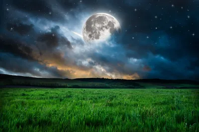 Dark Vivid Wallpaper Space Wallpaper 4K 4928x3264 Hd, Desktop, Wallpaper:, Of, A, Vivid, Full, Moon, Illuminating, Lush, Green, Meadow, Gray, Ultrawide, 4k