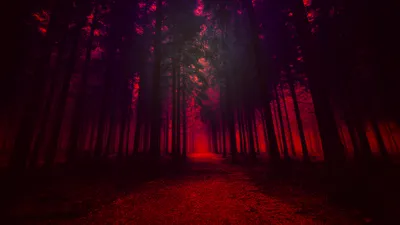 Serene Mystical Wallpaper Nature Wallpaper 4K 1920x1080 Hd, Desktop, Wallpaper:, Of, A, Mystical, Red-lit, Forest, Pathway, Showcasing, Artistic, Depiction, Brown, Ultrawide, Full HD