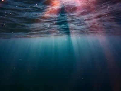 Underwater Ocean Nature Nature Wallpaper 4K 4000x3000 Gray