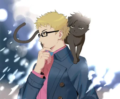 Radiant Haiky Wallpaper Animals Wallpaper 4K 2048x1707 Hd, Pc, Wallpaper, Of, Haikyū!!, Characters, Kei, Tsukishima, Black, Cat, White, Gray, Square, Full HD