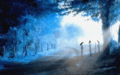Serene Misty Blue Forest Three Nature Wallpaper 4K 1918x1198 Blue, Ultrawide