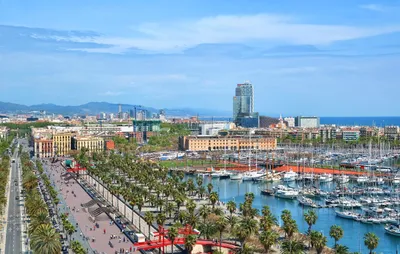 Vibrant Barcelona Spain Palm Lined World Wallpaper 4K 2673x1698 View, Palm-lined, Ultrawide, QHD