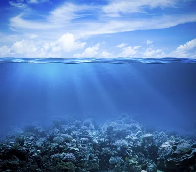 Calm Ocean Wallpaper Wallpaper 4K, Nature category