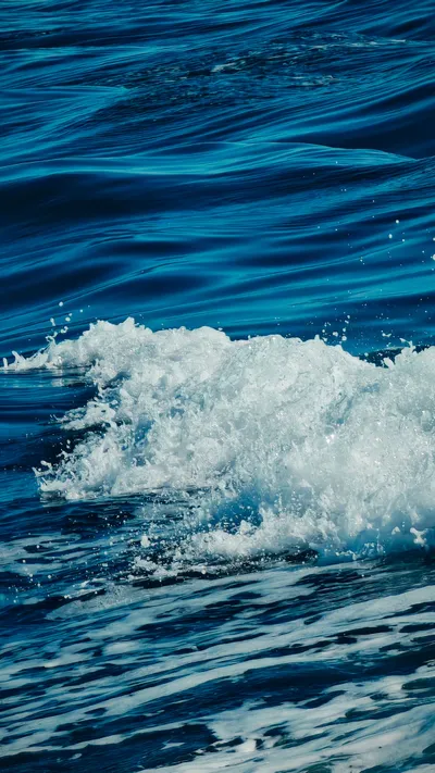 Crisp Wave Wallpaper Wallpaper 4K, Nature category