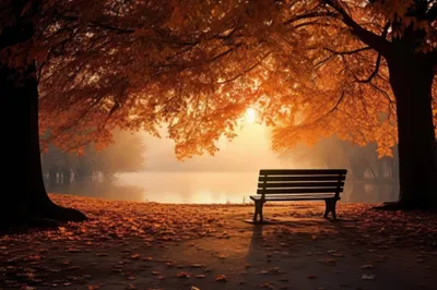 General Wallpaper 2208x1471 Nature Wallpaper 4K 2208x1471 Full HD, Ultrawide