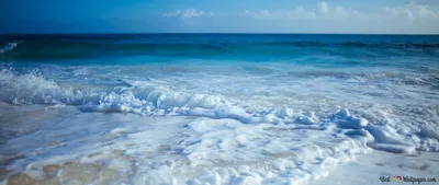 Ocean Nature Wallpaper 4K, Nature category
