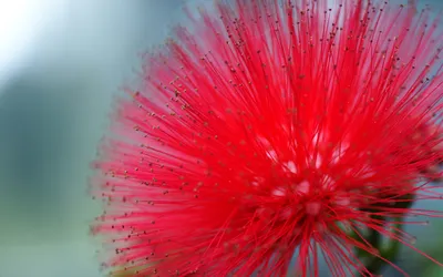 Epic Vibrant Wallpaper Wallpaper 4K, Nature category