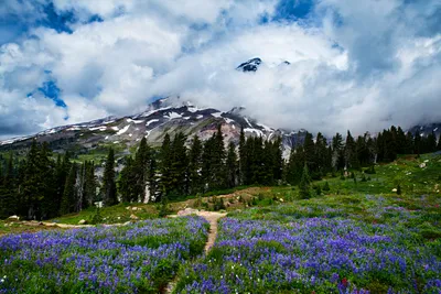 General Wallpaper 2497x1664 Nature Wallpaper 4K 2497x1664 Full HD, Ultrawide
