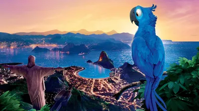 Blu Blue Macaw Nature Wallpaper 4K 1918x1078 Blue, Rio, Ultrawide