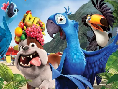 Vibrant Movie Rio Animated Characters Animals Wallpaper 4K 2046x1534 Rio, Full HD, Landscape