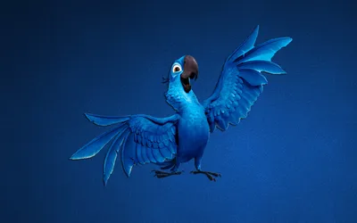 Blu Blue Macaw Movie Abstract Wallpaper 4K 1918x1198 Blue, Rio, Ultrawide