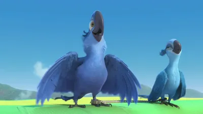 Two Animated Blue Birds Movie Nature Wallpaper 4K 1918x1078 Blue, Rio, Ultrawide