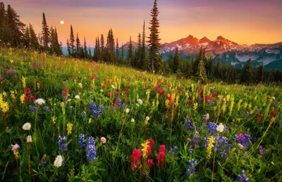 Mount Rainier Moonrise Nature Wallpaper 4K 2045x1322 Full HD, Ultrawide
