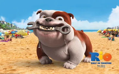 Movie Rio Playful World Wallpaper 4K 1918x1198 Rio, Ultrawide