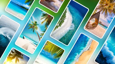 Bold Android Wallpaper Nature Wallpaper 4K 1920x1080 White
