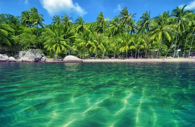 Serene Tropical Lagoon Crystal Nature Wallpaper 4K 3148x2065 Crystal-clear, Ultrawide, QHD