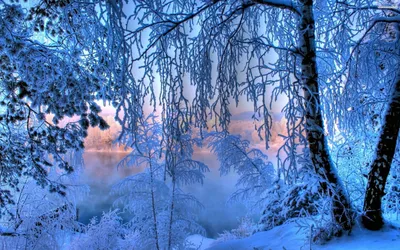 Serene Winter Sunrise Nature Wallpaper 4K 1918x1198 Ultrawide