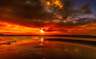 Vibrant Vibrant Wallpaper Wallpaper 4K, Nature category
