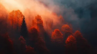 General Wallpaper 2208x1236 Nature Wallpaper 4K 2208x1236 Full HD, Ultrawide
