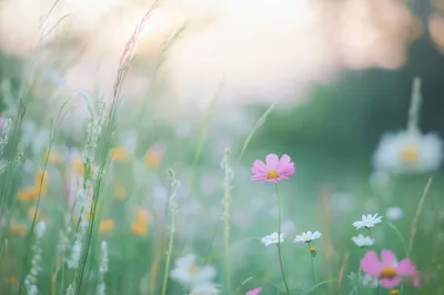 General Wallpaper 2208x1471 Nature Wallpaper 4K 2208x1471 Full HD, Ultrawide