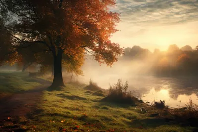 General Wallpaper 2208x1471 Nature Wallpaper 4K 2208x1471 Full HD, Ultrawide