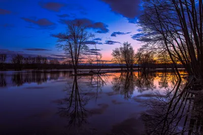 Capturing Serene Nature Wallpaper 4K, Nature category