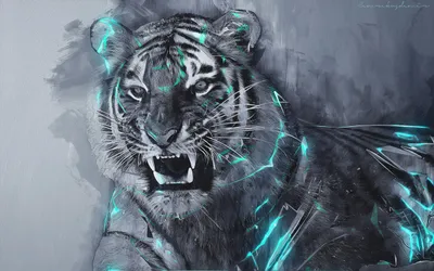 Angry Tiger Blue Animals Wallpaper 4K 2560x1600 Angry, Tiger, With, Striking, Blue, Accents, Set, Against, Dramatic, Gray, Makes, Impactful, Ultrawide, QHD