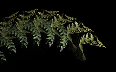 Abstract Fractal Design Resembling Green Black/Dark Wallpaper 4K 2560x1600 Hd, Pc, Desktop, Wallpaper, Featuring, An, Abstract, Fractal, Design, Resembling, Green, Fern, Brown, Ultrawide, QHD