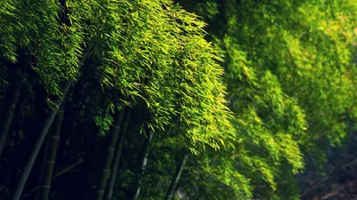 Anime Wallpaper 1918x1078 Abstract Wallpaper 4K 1918x1078 Ultrawide