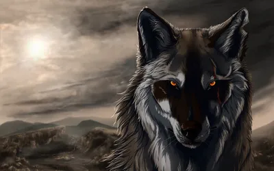 Golden Wolf Wallpaper Animals Wallpaper 4K 2560x1600 Hd, Desktop, Wallpaper, Featuring, A, Wolf, With, Piercing, Eyes, Against, Moody, Cloudy, Gray, Ultrawide, QHD